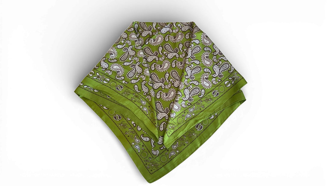 Lime And Lavender Scarf Accessories