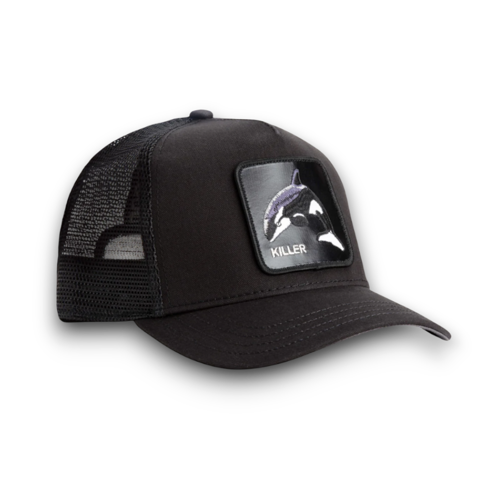 Goorin Bros Killer Whale
