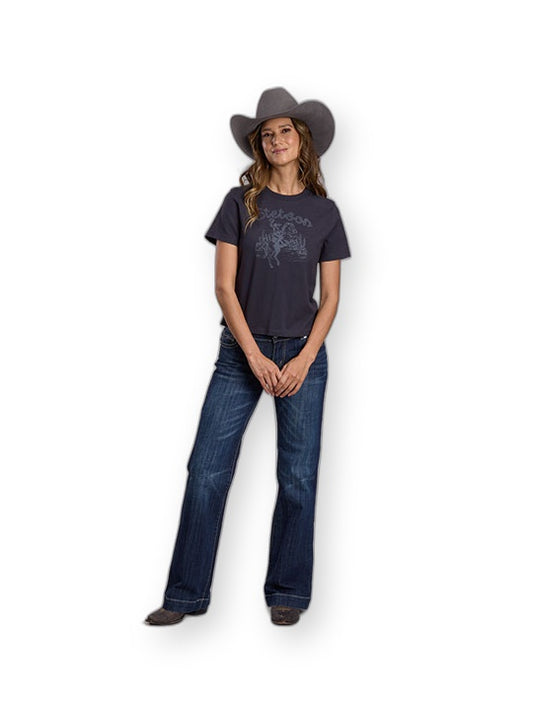 Stetson Women's Cowgirl in Desert Scene T-Shirt Gray back alternate view