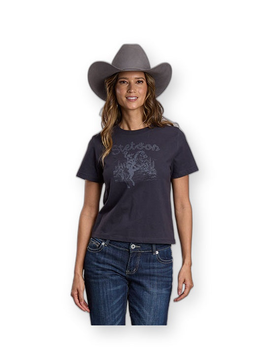 Stetson Women's Cowgirl in Desert Scene T-Shirt Gray front