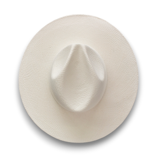 Stetson The Naturalist alternate view