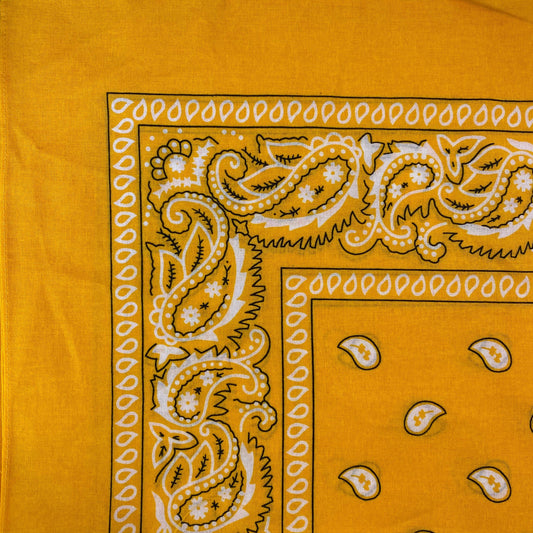 BANDANA- Reds & Yellows alternate view