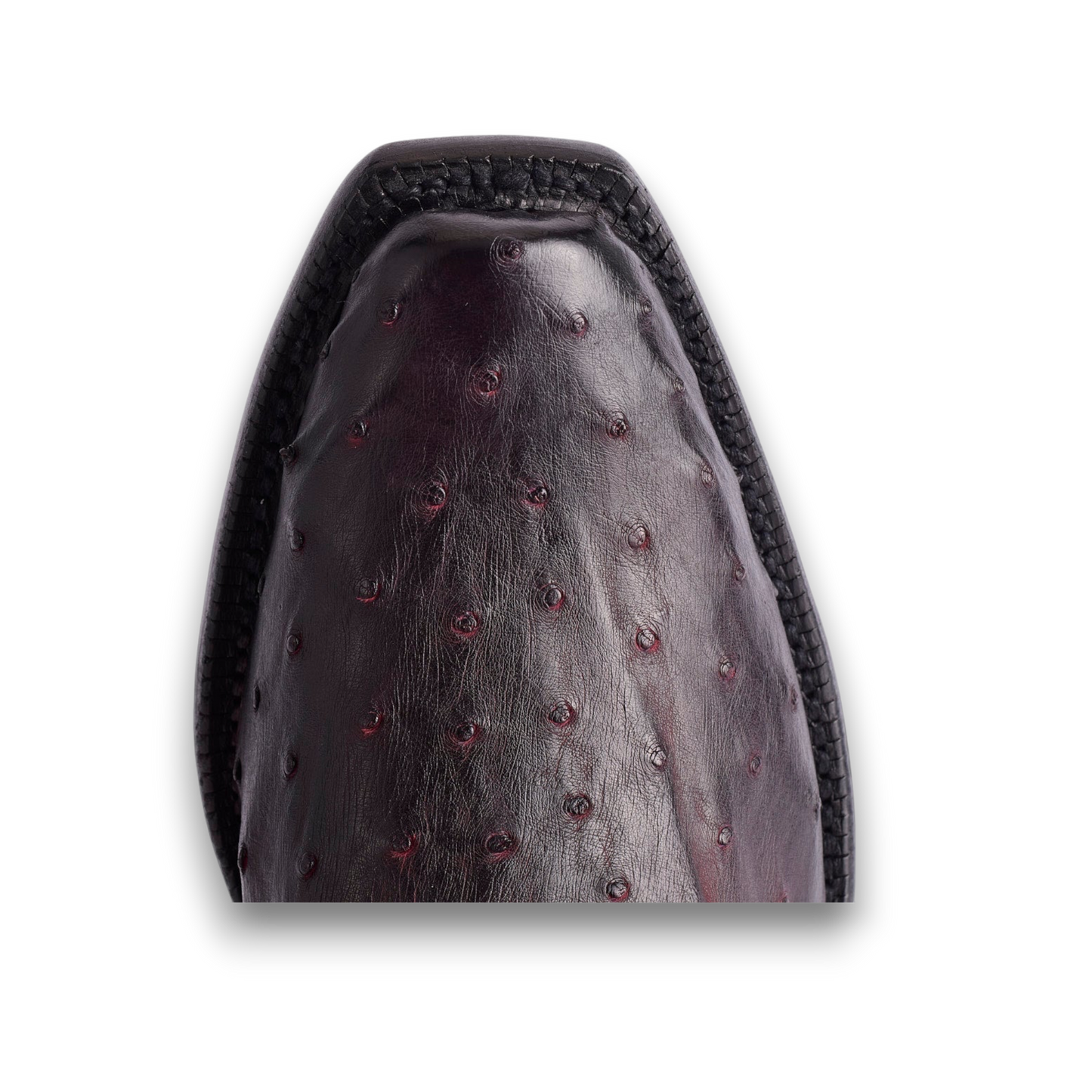 Close-up of the black cherry full quill ostrich leather toe on a Moon Ridge Hats and Heritage Lucchese Elgin boot.