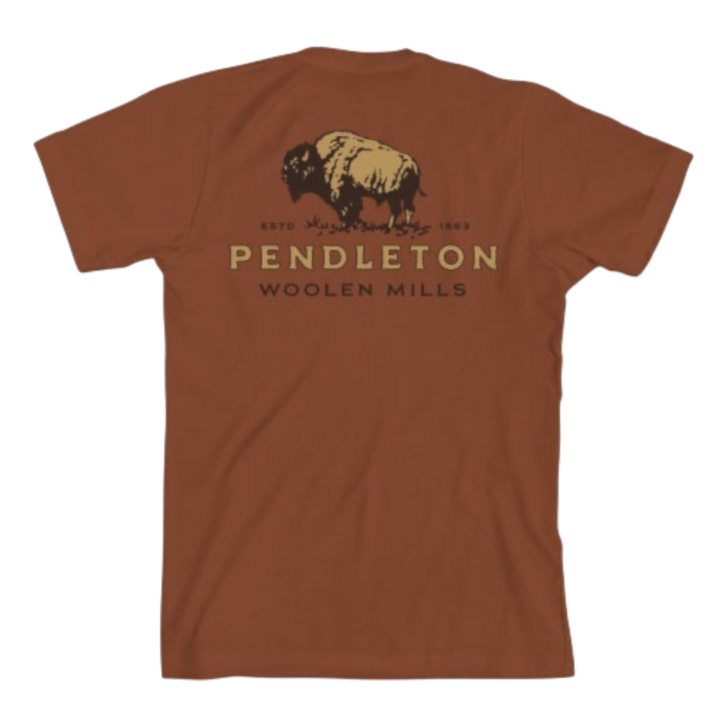 Pendleton Vintage Bison Graphic Tee