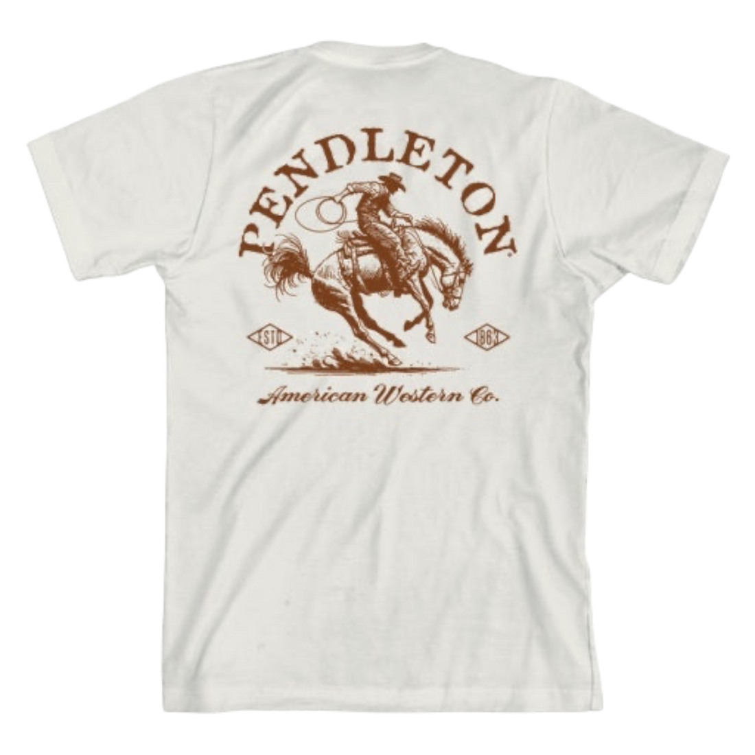 Pendleton American Western Graphic Tee in vintage white/rust