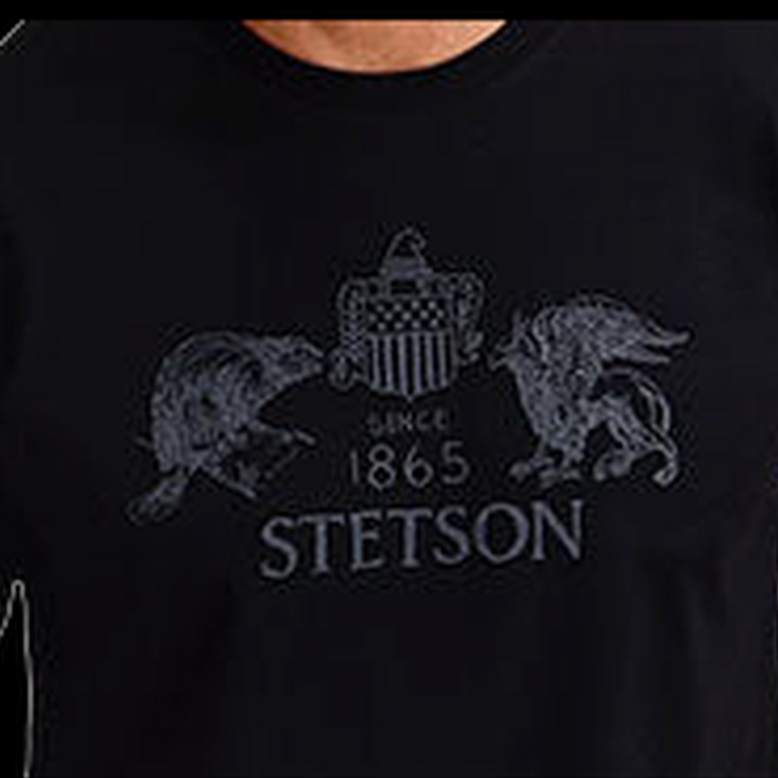 Stetson Beaver & Eagle crest and wordmark graphic close-up