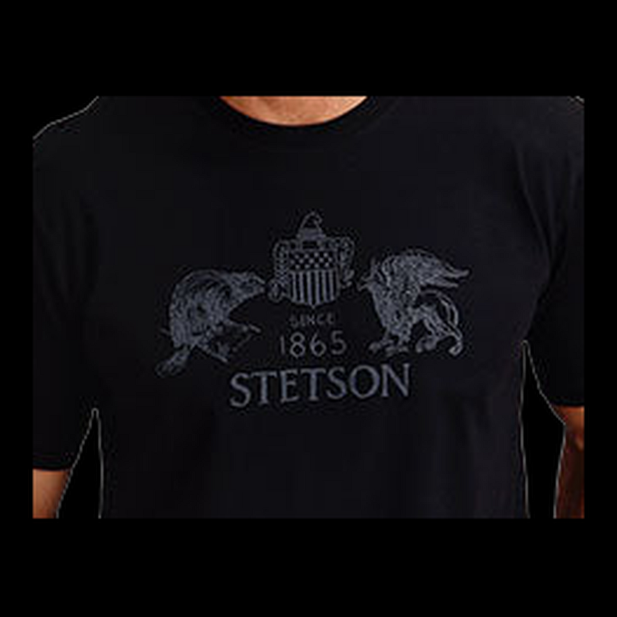 Stetson Beaver & Eagle crest and wordmark graphic close-up