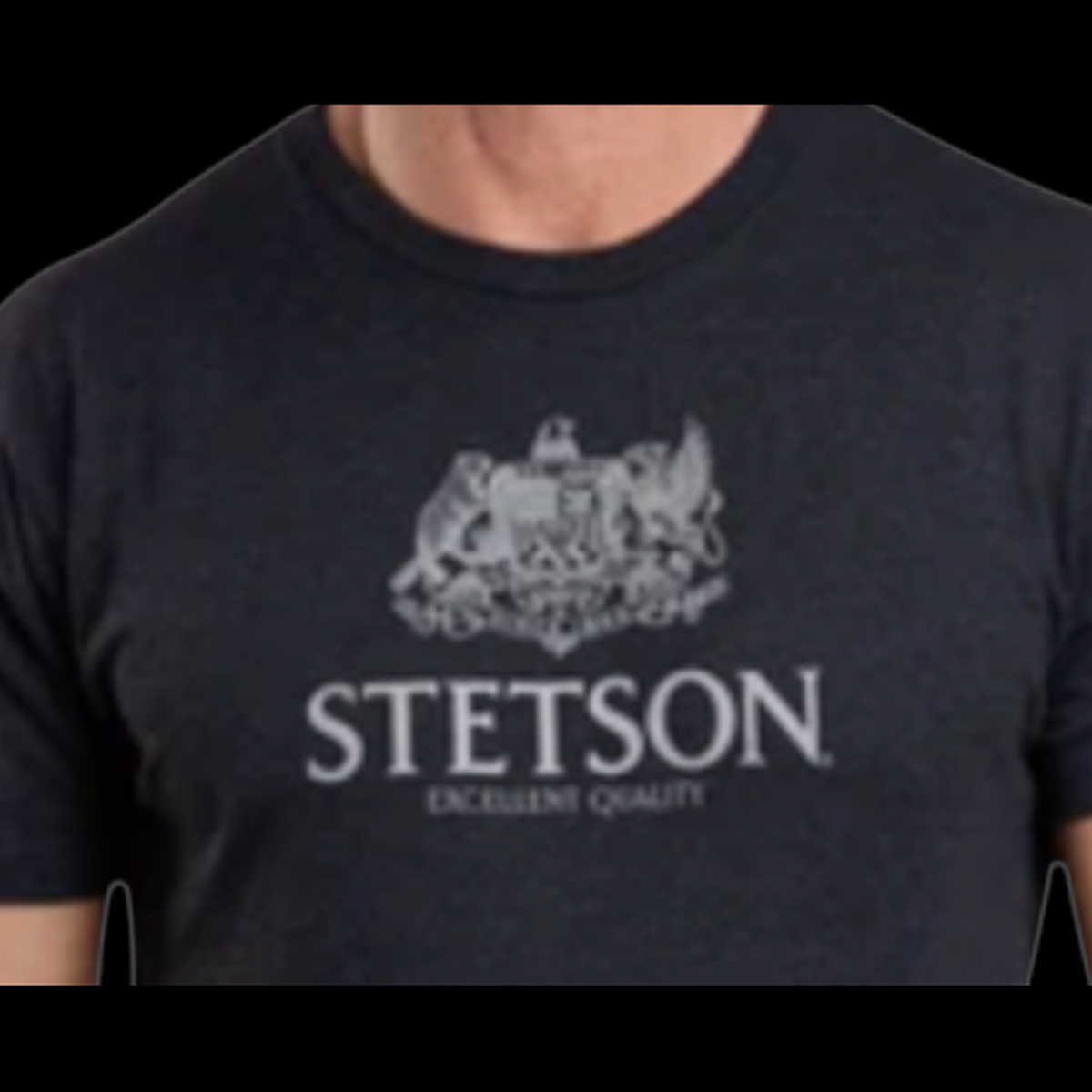 Stetson black crest logo graphic close-up on charcoal crew neck t-shirt