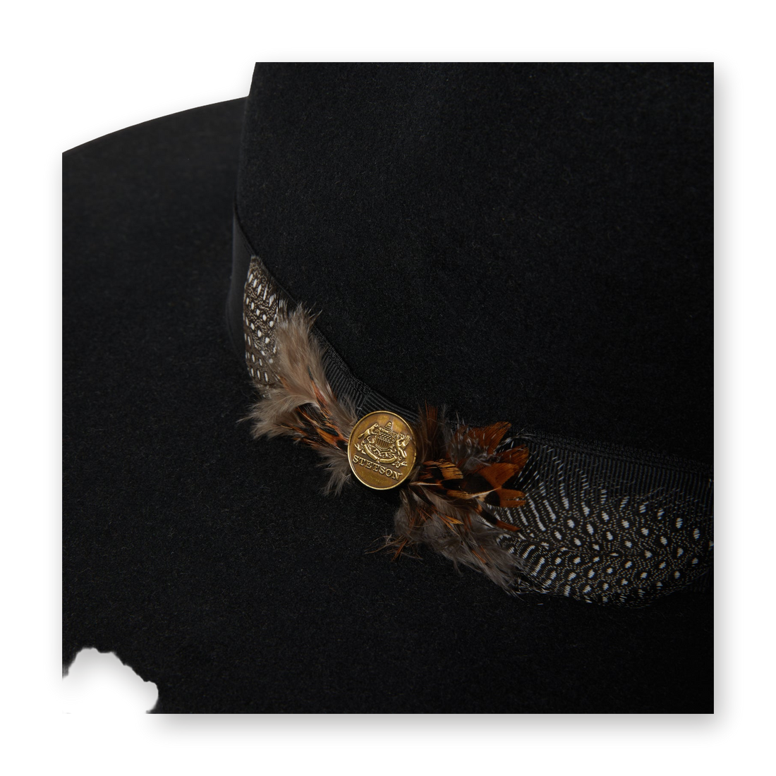 Stetson Midtown, Stetson pin and feather detail